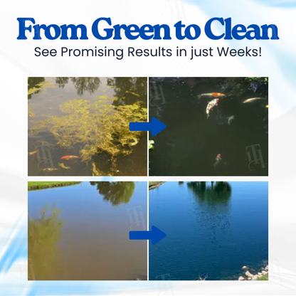 Serenoul® Aqua-Defender Pro Formula– End Algae Nightmares, Restore Your Pond’s Beauty Fast!